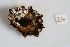  ( - HvdB-10-2010-215)  @13 [ ] Unspecified (default): All Rights Reserved  Unspecified Unspecified