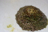  ( - HvdB-10-2010-212)  @13 [ ] Unspecified (default): All Rights Reserved  Unspecified Unspecified