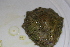  ( - HvdB-10-2010-223)  @13 [ ] Unspecified (default): All Rights Reserved  Unspecified Unspecified