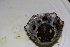  ( - HvdB-10-2010-223)  @13 [ ] Unspecified (default): All Rights Reserved  Unspecified Unspecified