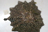  ( - HvdB-10-2010-227)  @13 [ ] Unspecified (default): All Rights Reserved  Unspecified Unspecified