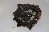  ( - HvdB-10-2010-224)  @13 [ ] Unspecified (default): All Rights Reserved  Unspecified Unspecified