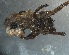  ( - PZNF-0082)  @12 [ ] Unspecified (default): All Rights Reserved  Unspecified Unspecified