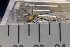  ( - SV-P-168)  @11 [ ] CreativeCommons - Attribution Non-Commercial Share-Alike (2018) Jen and Hilary Bayer Silicon Valley Barcode of Life