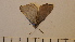  ( - SV-P-46)  @11 [ ] CreativeCommons - Attribution Non-Commercial Share-Alike (2018) Jen and Hilary Bayer Silicon Valley Barcode of Life