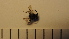  ( - SV-P-185)  @12 [ ] CreativeCommons - Attribution Non-Commercial Share-Alike (2018) Jen and Hilary Bayer Silicon Valley Barcode of Life