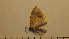  ( - SV-P-299)  @12 [ ] CreativeCommons - Attribution Non-Commercial Share-Alike (2018) Jen and Hilary Bayer Silicon Valley Barcode of Life