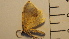  ( - SV-P-299)  @12 [ ] CreativeCommons - Attribution Non-Commercial Share-Alike (2018) Jen and Hilary Bayer Silicon Valley Barcode of Life