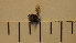  ( - SV-P-309)  @11 [ ] CreativeCommons - Attribution Non-Commercial Share-Alike (2018) Jen and Hilary Bayer Silicon Valley Barcode of Life