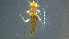  ( - 2021-HWDR-0016)  @11 [ ] CreativeCommons - Attribution Share-Alike (2023) Unspecified Drexel University, Academy of Natural Sciences