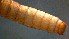  ( - 2021-HWDR-0275)  @11 [ ] CreativeCommons - Attribution Share-Alike (2023) Unspecified Drexel University, Academy of Natural Sciences