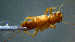  ( - 2021-HWDR-0329)  @11 [ ] CreativeCommons - Attribution Share-Alike (2023) Unspecified Drexel University, Academy of Natural Sciences