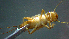  ( - 2021-HWDR-0329)  @11 [ ] CreativeCommons - Attribution Share-Alike (2023) Unspecified Drexel University, Academy of Natural Sciences