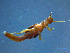  ( - 2021-HWDR-0674)  @11 [ ] CreativeCommons - Attribution Share-Alike (2023) Unspecified Drexel University, Academy of Natural Sciences