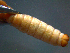  ( - 2021-HWDR-0693)  @11 [ ] CreativeCommons - Attribution Share-Alike (2023) Unspecified Drexel University, Academy of Natural Sciences