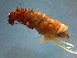  ( - 2021-HWDR-0747)  @11 [ ] CreativeCommons - Attribution Share-Alike (2023) Unspecified Drexel University, Academy of Natural Sciences