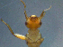  ( - 2021-HWDR-0885)  @11 [ ] CreativeCommons - Attribution Share-Alike (2023) Unspecified Drexel University, Academy of Natural Sciences