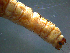  ( - 2021-HWDR-0889)  @11 [ ] CreativeCommons - Attribution Share-Alike (2023) Unspecified Drexel University, Academy of Natural Sciences