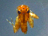  ( - 2022-HWDR-0093)  @11 [ ] CreativeCommons - Attribution Share-Alike (2023) Unspecified Drexel University, Academy of Natural Sciences