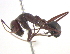  ( - BIOUG02773-G04)  @13 [ ] CreativeCommons - Attribution (2013) CBG Photography Group Centre for Biodiversity Genomics