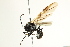  ( - BIOUG00805-G08)  @14 [ ] CreativeCommons - Attribution (2011) CBG Photography Group Centre for Biodiversity Genomics