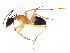  ( - BIOUG00859-D12)  @12 [ ] CreativeCommons - Attribution (2011) CBG Photography Group Centre for Biodiversity Genomics
