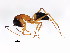  ( - BIOUG00859-G04)  @14 [ ] CreativeCommons - Attribution (2011) CBG Photography Group Centre for Biodiversity Genomics