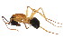 ( - BIOUG00868-D10)  @13 [ ] CreativeCommons - Attribution (2011) CBG Photography Group Centre for Biodiversity Genomics