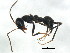 ( - BIOUG00868-H07)  @13 [ ] CreativeCommons - Attribution (2011) CBG Photography Group Centre for Biodiversity Genomics