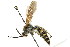  ( - BIOUG01913-F11)  @14 [ ] CreativeCommons - Attribution (2012) CBG Photography Group Centre for Biodiversity Genomics
