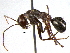  ( - BIOUG02953-A03)  @13 [ ] CreativeCommons - Attribution (2013) CBG Photography Group Centre for Biodiversity Genomics
