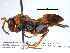  ( - BIOUG02953-B02)  @14 [ ] CreativeCommons - Attribution (2013) CBG Photography Group Centre for Biodiversity Genomics