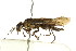  ( - CNCHYM 02029)  @11 [ ] CreativeCommons - Attribution (2011) CNC/CBG Photography Group Centre for Biodiversity Genomics