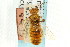  ( - CNCHYM 02050)  @11 [ ] CreativeCommons - Attribution (2011) CNC/CBG Photography Group Centre for Biodiversity Genomics