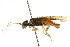  ( - CNCHYM 02148)  @14 [ ] CreativeCommons - Attribution (2011) CNC/CBG Photography Group Centre for Biodiversity Genomics