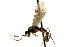  ( - CNCHYM 04657)  @11 [ ] CreativeCommons - Attribution (2011) CNC/CBG Photography Group Centre for Biodiversity Genomics