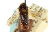  (Neodiprion nigroscutum - CNCHYM 02439)  @11 [ ] CreativeCommons - Attribution (2011) CNC/CBG Photography Group Centre for Biodiversity Genomics
