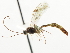  ( - CNCHYM 03756)  @11 [ ] CreativeCommons - Attribution (2011) CNC/CBG Photography Group Centre for Biodiversity Genomics