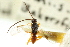  ( - CNCHYM 00581)  @11 [ ] CreativeCommons - Attribution (2011) CNC/CBG Photography Group Centre for Biodiversity Genomics