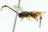  ( - CNCHYM 01400)  @11 [ ] CreativeCommons - Attribution (2011) CNC/CBG Photography Group Centre for Biodiversity Genomics