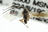  ( - CNCHYM 01561)  @11 [ ] CreativeCommons - Attribution (2011) CNC/CBG Photography Group Centre for Biodiversity Genomics
