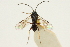  ( - CNCHYM 01748)  @11 [ ] CreativeCommons - Attribution (2011) CNC/CBG Photography Group Centre for Biodiversity Genomics