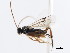 ( - CNCHYM 01631)  @11 [ ] CreativeCommons - Attribution (2011) CNC/CBG Photography Group Centre for Biodiversity Genomics
