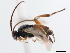  ( - CNCHYM 01644)  @12 [ ] CreativeCommons - Attribution (2011) CNC/CBG Photography Group Centre for Biodiversity Genomics