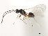  ( - CNCHYM 07499)  @11 [ ] CreativeCommons - Attribution (2011) CBG Photography Group Centre for Biodiversity Genomics
