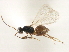  ( - CNCHYM 07502)  @11 [ ] CreativeCommons - Attribution (2011) CBG Photography Group Centre for Biodiversity Genomics
