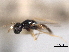  ( - CNCHYM 012139)  @11 [ ] CreativeCommons - Attribution (2012) CNC/CBG Photography Group Centre for Biodiversity Genomics