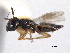  ( - CNCHYM 012218)  @11 [ ] CreativeCommons - Attribution (2012) CNC/CBG Photography Group Centre for Biodiversity Genomics