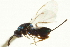 ( - CNCHYM 011773)  @11 [ ] CreativeCommons - Attribution (2012) CNC/CBG Photography Group Centre for Biodiversity Genomics