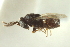  ( - CNCHYM 015421)  @11 [ ] CreativeCommons - Attribution (2012) CNC/CBG Photography Group Centre for Biodiversity Genomics